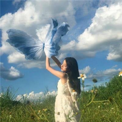 兔子镇的火狐狸